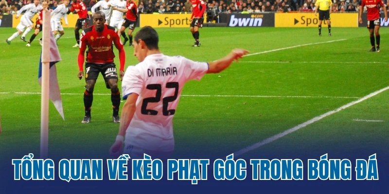 Tổng quan vài nét về kèo phạt góc trong bóng đá