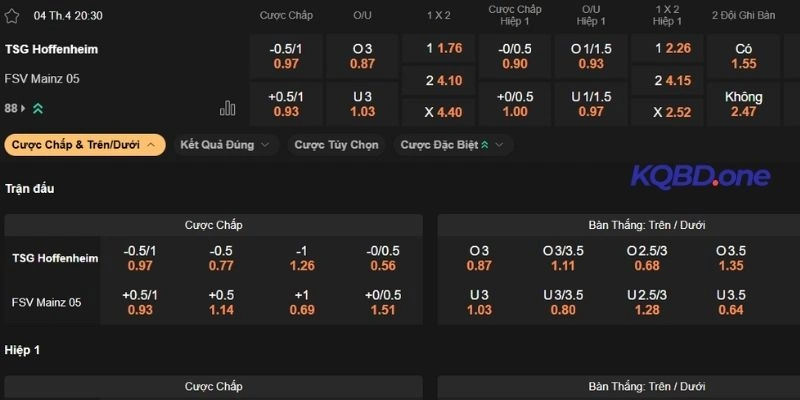 Dự đoán kèo Hoffenheim vs Mainz 05