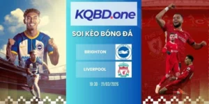 Soi kèo Brighton vs Liverpool - NHA, 21/03/2026