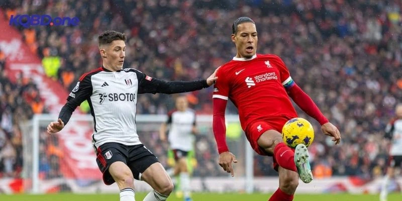 Tình hình Liverpool vs Fulham